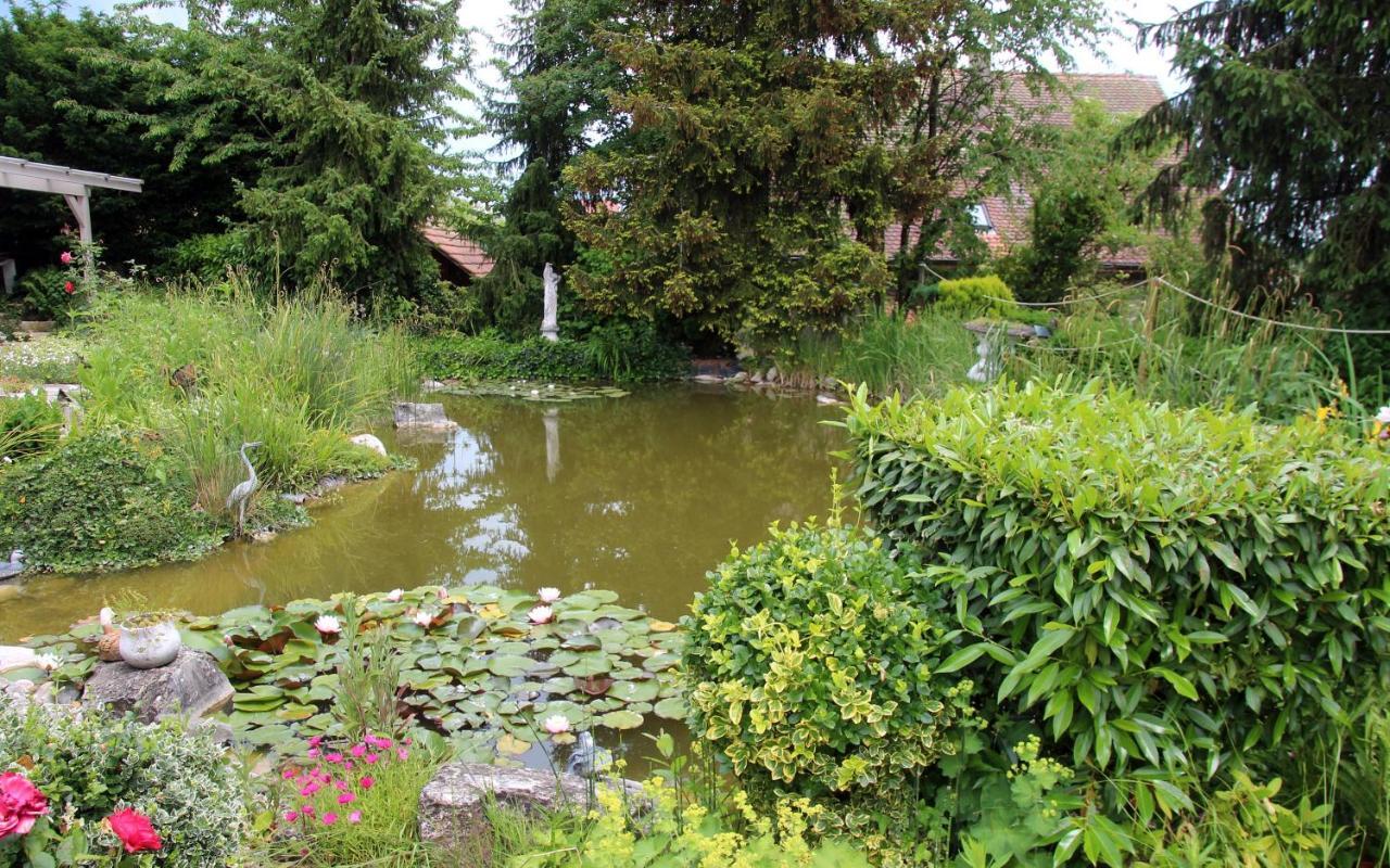 B&B Paradiso Busingen am Hochrhein Exterior foto